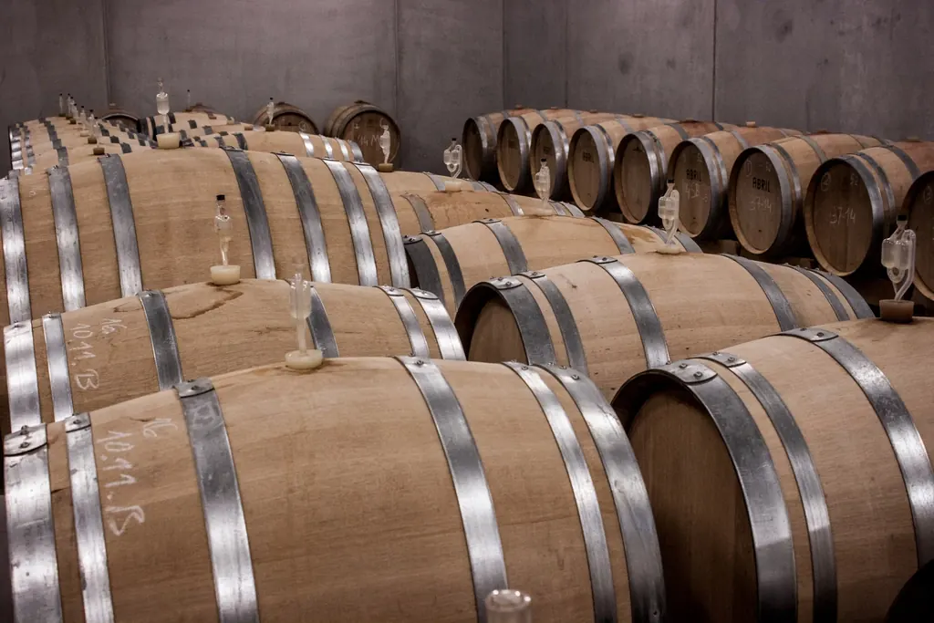 Vigneronne dans un rang de vigne, sécateur à la main