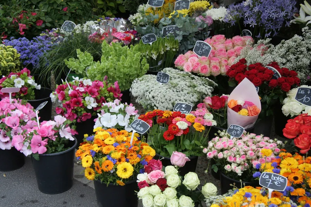 Fleuriste en tablier devant un mur de seaux
