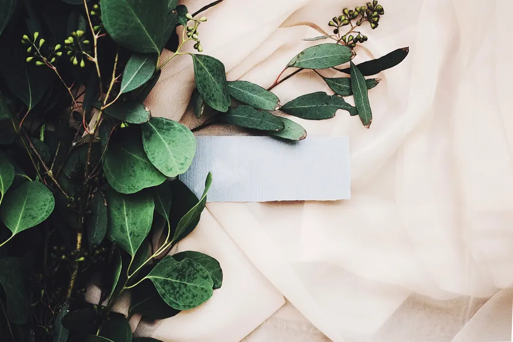 Branches d'eucalyptus et ruban sur une toile claire