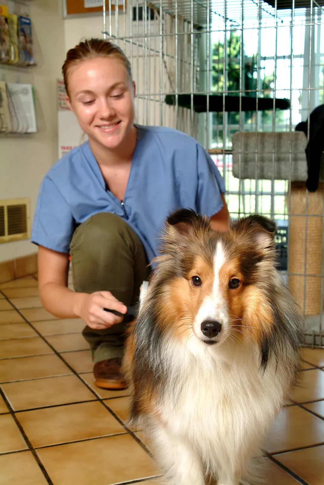 Hund som väntar vid dörren till en salong