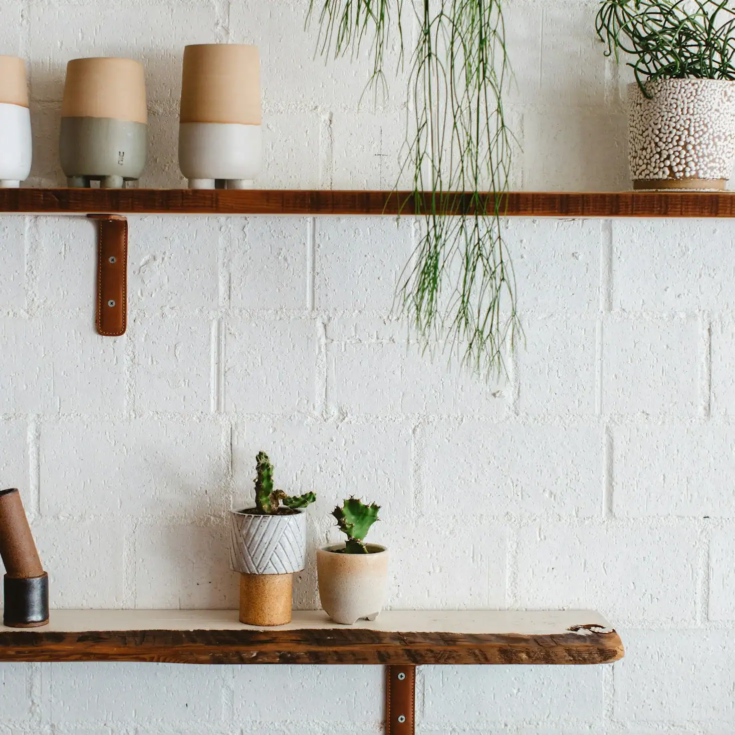 Fog planter · 5 inch