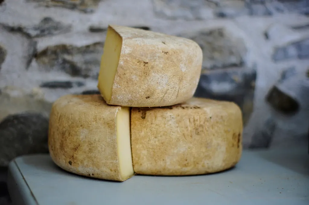 Queso de oveja curado · media pieza