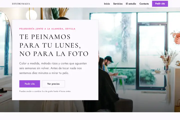 Captura de Estudio Malva