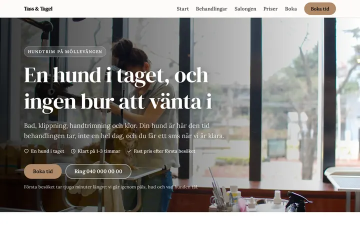 Skärmbild av Tass & Tagel
